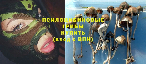 таблы Каменногорск