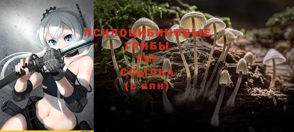 скорость Каменск-Шахтинский