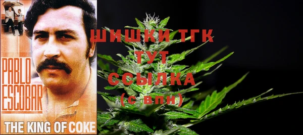 таблы Каменногорск