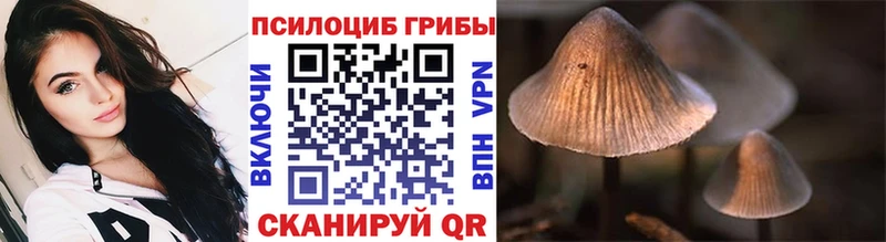 Галлюциногенные грибы Psilocybe  Купить закладки  Соликамск 